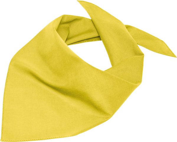 Plage de myrte | MB 6524 Foulard Triangulaire